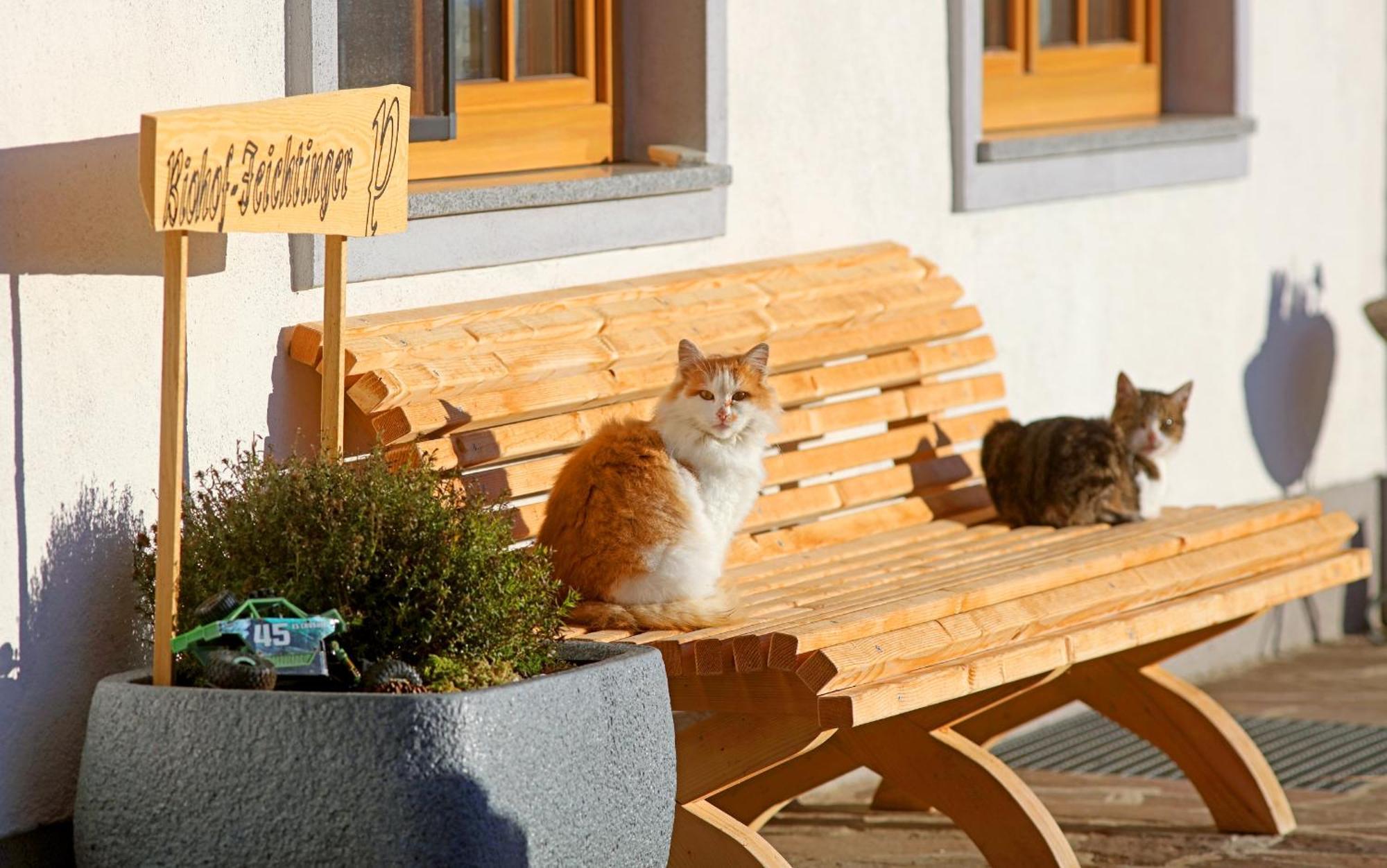 Apartmán Biohof-Feichtinger Zell am Moos Exteriér fotografie