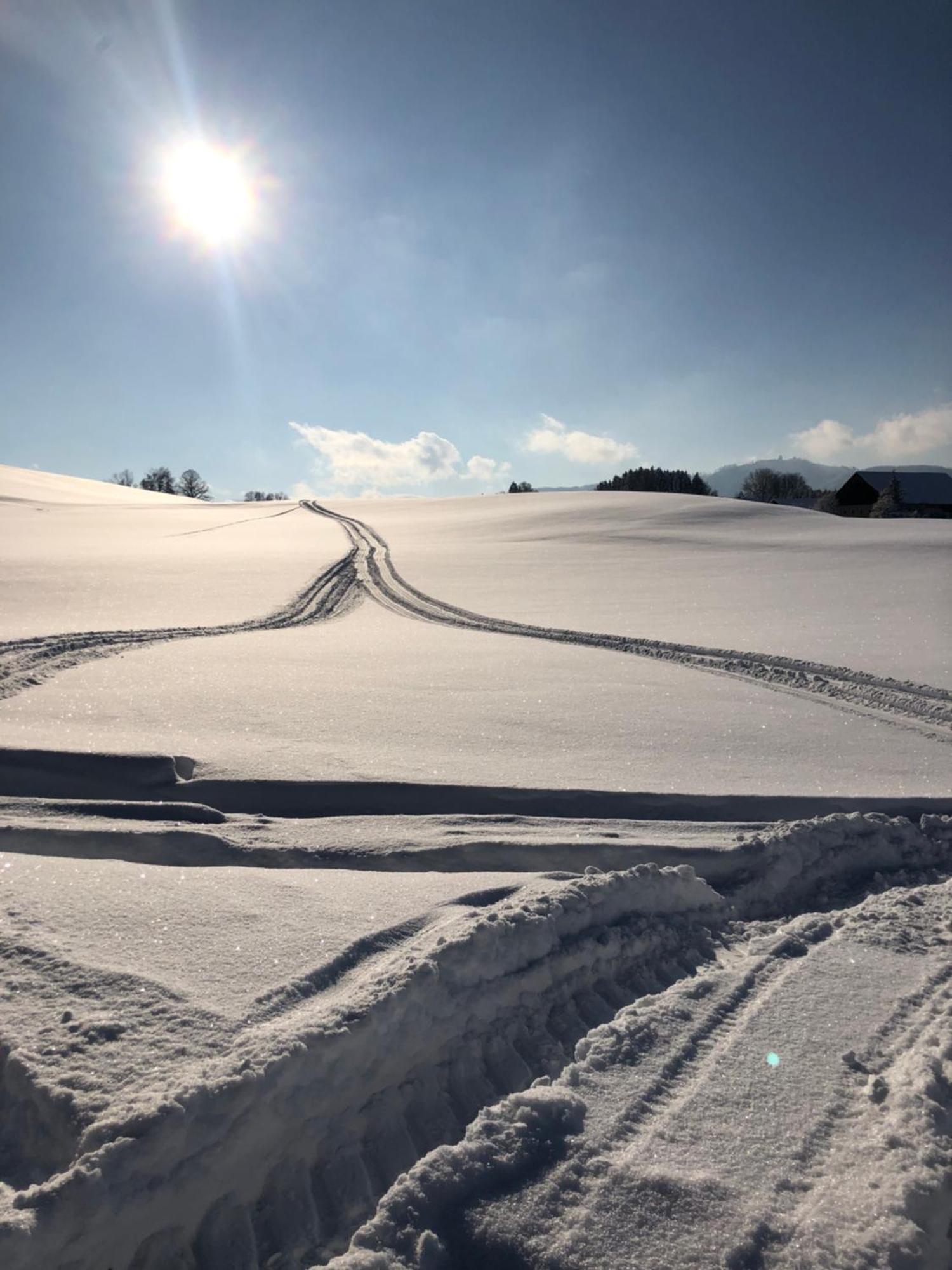 Apartmán Biohof-Feichtinger Zell am Moos Exteriér fotografie