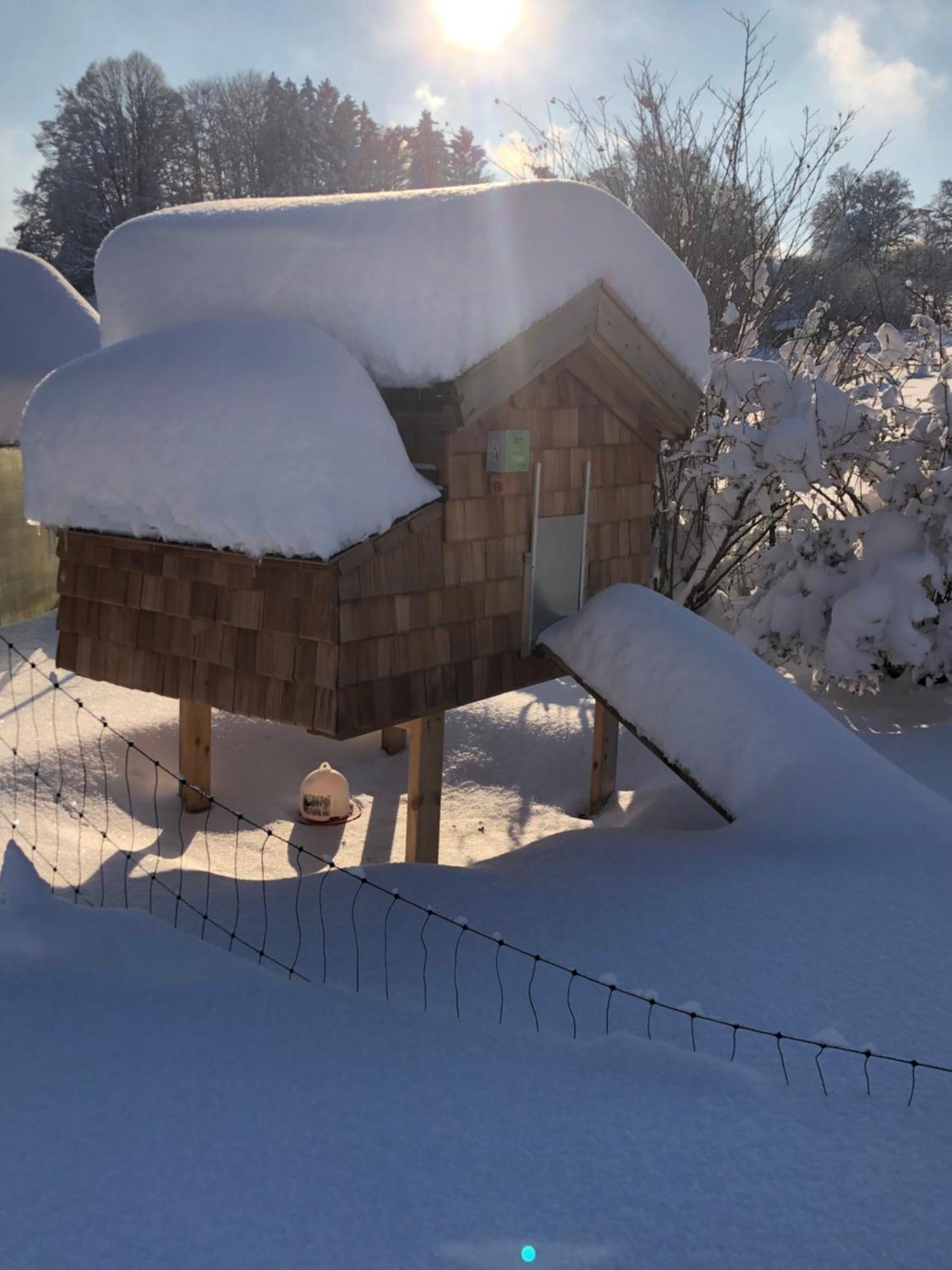 Apartmán Biohof-Feichtinger Zell am Moos Exteriér fotografie