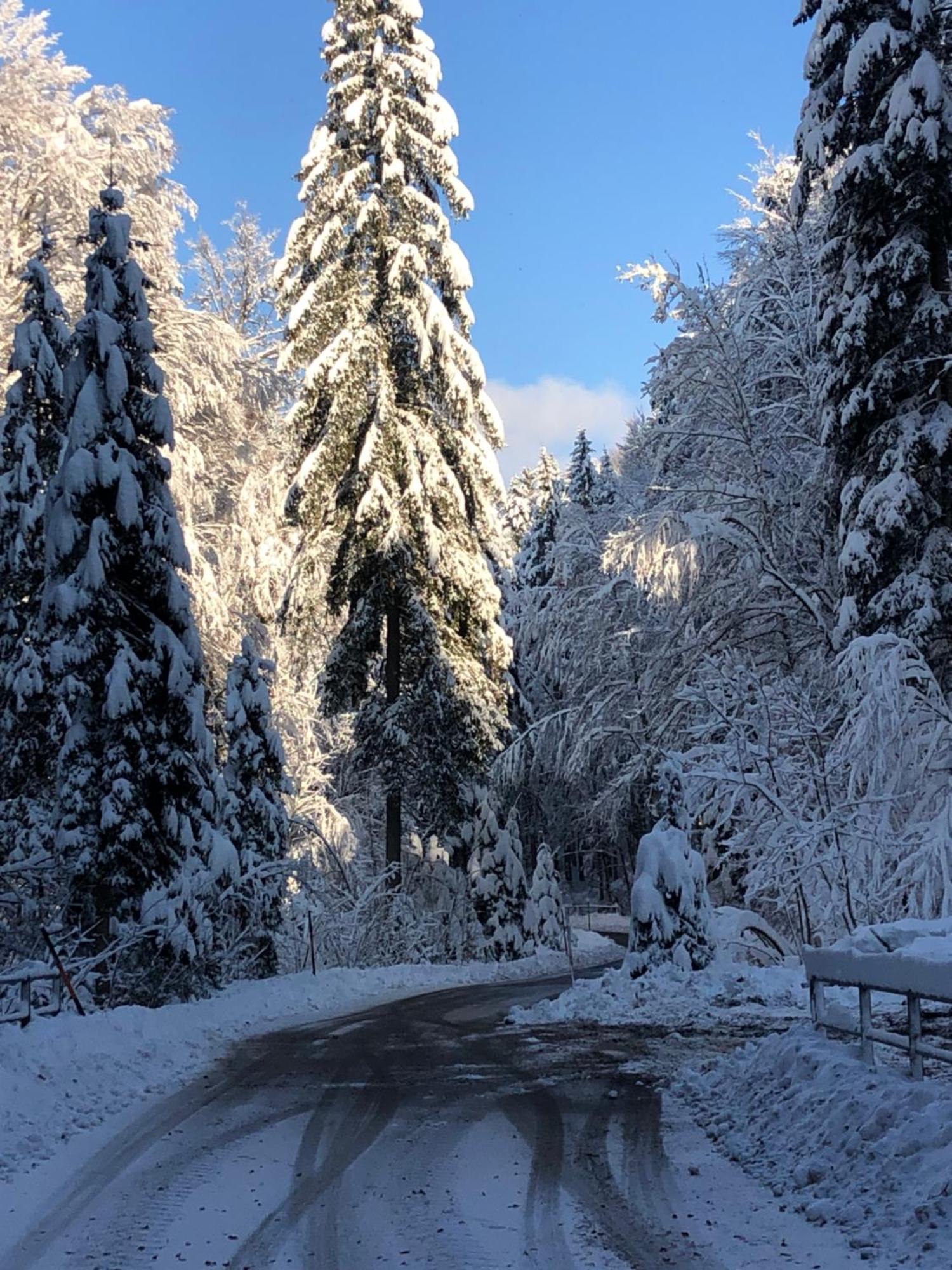 Apartmán Biohof-Feichtinger Zell am Moos Exteriér fotografie
